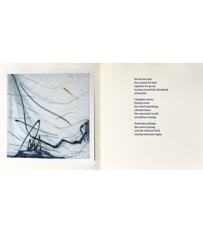 RAY (Lionel). Pages d’eau. Pages of water. Illustrations de Julius Baltazar. Photographies de Pierre-Yves Charbonnier.