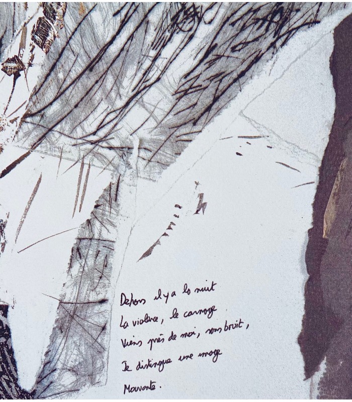 HOUELLEBECQ (Michel). La Peau. Poèmes. Edition originale. Collages de Sarah Wiame.