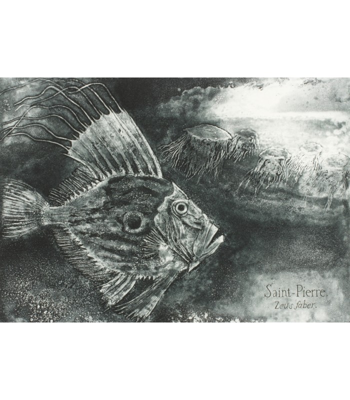 MOCKEL (Francis). Bestiaire marin. Suite de gravures originales.