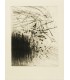 BUTOR (Michel). Rumeurs de la forêt. Gravures originales de J. Baltazar. Photographies originales de A. Villers.