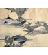 VERCEL (Roger). Sous le pied de l'archange. Illustrations de Mathurin Méheut.