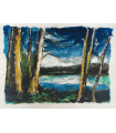 VLAMINCK (Maurice de). En noir et en couleur. 36 illustrations de Maurice de Vlaminck. Exemplaire sur japon nacré.