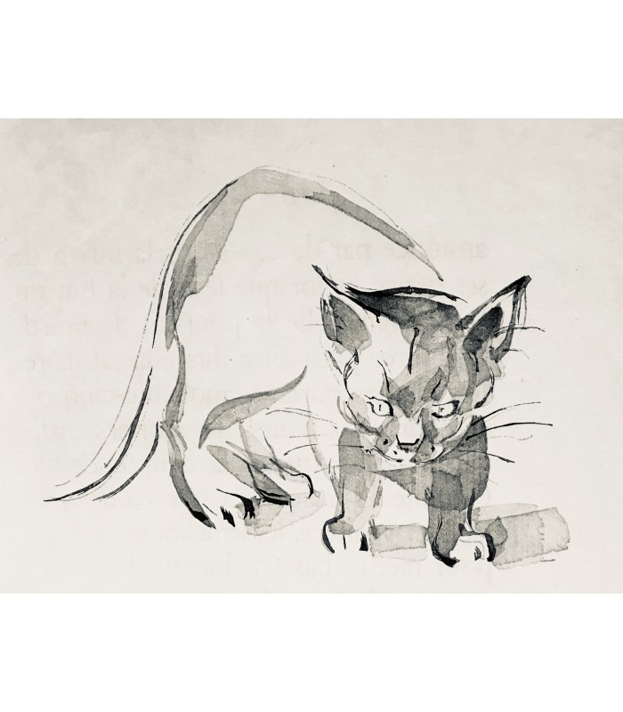 [COSTER (Germaine de)] BUFFON. Gravures de G. de Coster. Exemplaire de collaborateurs dédicacé par l'artiste.