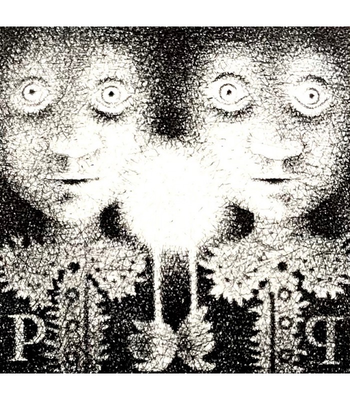 VILLIERS DE L'ISLE-ADAM (Auguste, comte de). Contes cruels. Eaux-fortes de Mario Avati. Reliure de Renaud Vernier.