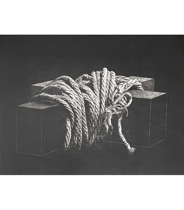 SYLVESTRE (Henri). Nature morte avec Psyché. Illustrations de Wolfgang Gäfgen. Edition originale.