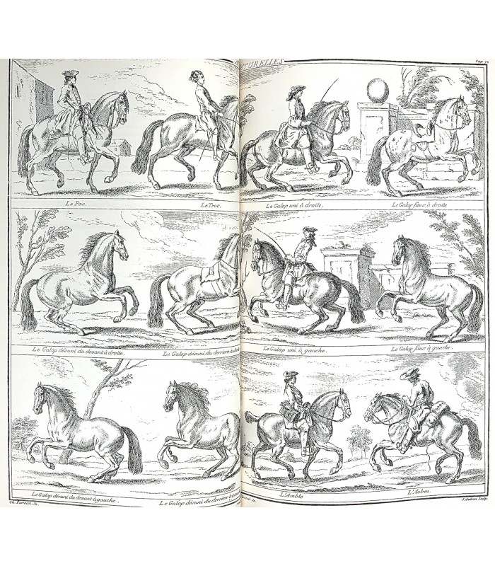 LA GUERINIERE (François Robichon de). Ecole de cavalerie. Illustrations gravées d'après Charles Parrocel.