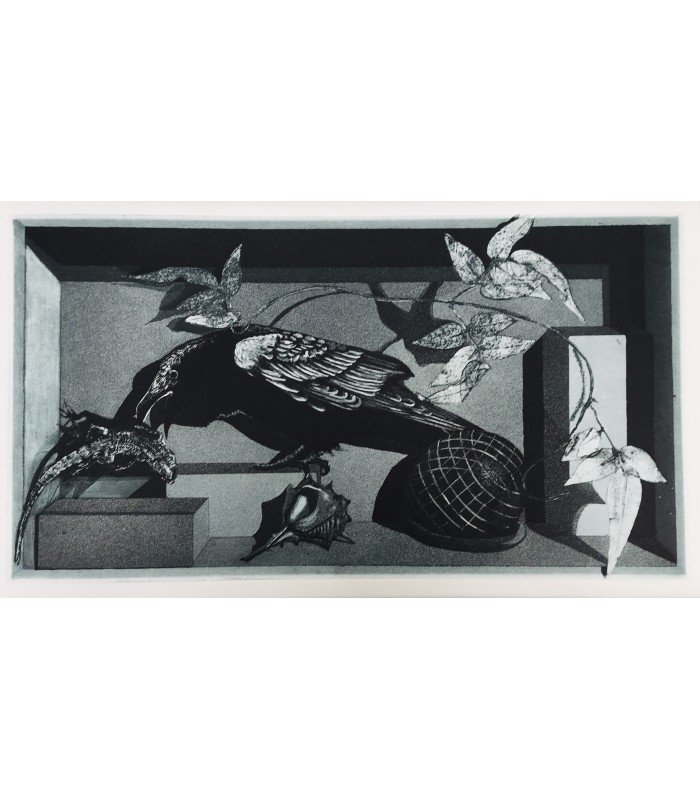 ATTAR (Farîd od-dîn). Le Cantique des oiseaux. Illustrations de Sylvie Abélanet.