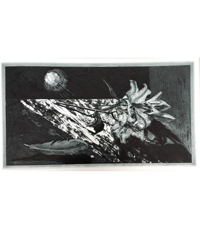 ATTAR (Farîd od-dîn). Le Cantique des oiseaux. Illustrations de Sylvie Abélanet.