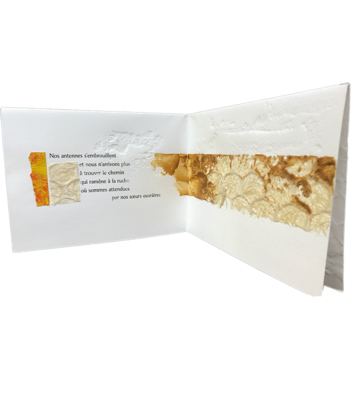 BUTOR (Michel). Hexagones en désarroi. Compositions originales de Bernard Alligand. Edition originale