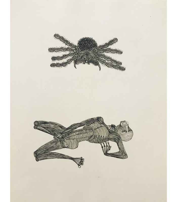 LAUTREAMONT (Comte de). Maldoror. Eaux-fortes de Houplain. Exemplaire sur vélin. Exemplaire enrichi de dessins originaux.