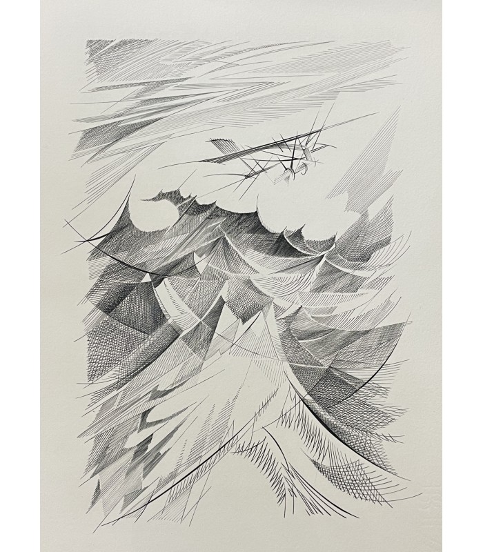 SAINT-EXUPERY (Antoine de). Vol de nuit. Burins originaux de Germaine de Coster. Reliure de François Brindeau.