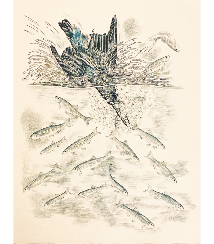 BUFFON (Comte de). Les Chants du printemps. Burins originaux de Tavy Notton. Un des 50 exemplaires sur vélin. Envoi autographe.