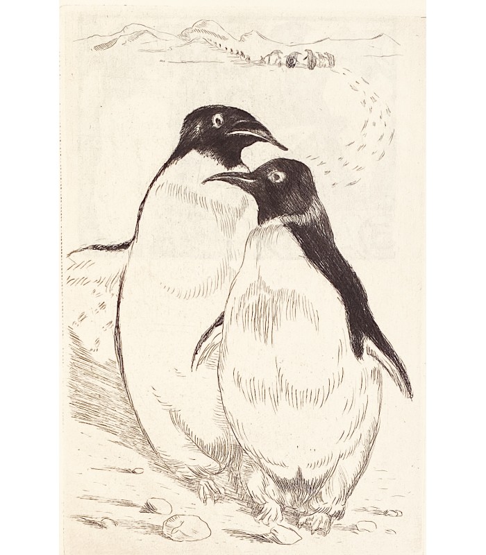 FRANCE (Anatole). L'Ile des pingouins. Illustrations de Louis Jou. Reliure de Granghaud.