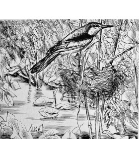 MICHELET (Jules). L'Oiseau. Pointes sèches par André Jacquemin. Tirage unique limité à 140 exemplaires numérotés sur vélin.