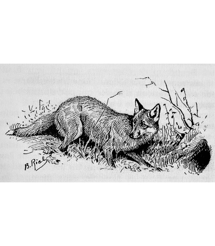 MAC ORLAN (Pierre). Les Plaisirs de la chasse. Edition originale. Exemplaire sur vélin Rives Sensation.