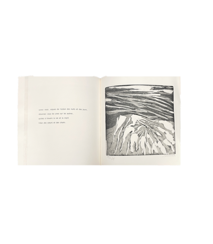 RIBEMONT- DESSAIGNES (Georges). Ténèbres de la lumière. Edition originale illustrée de Michel Richard.