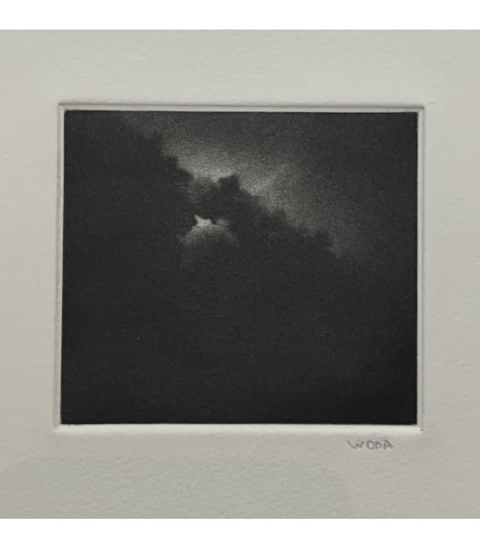 THIBON (Daniel). Nuit verte. Edition originale illustrée par Woda.