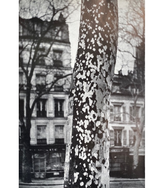 [BRASSAÏ] Brassaï. Premier tirage de ce cinquième numéro de la revue Neuf réalisé par Robert Delpire et Pierre Faucheux.