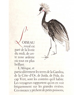 [COSTER (Germaine de)] Buffon. Lettre préface de Georges Duhamel. Gravures de Germaine de Coster.