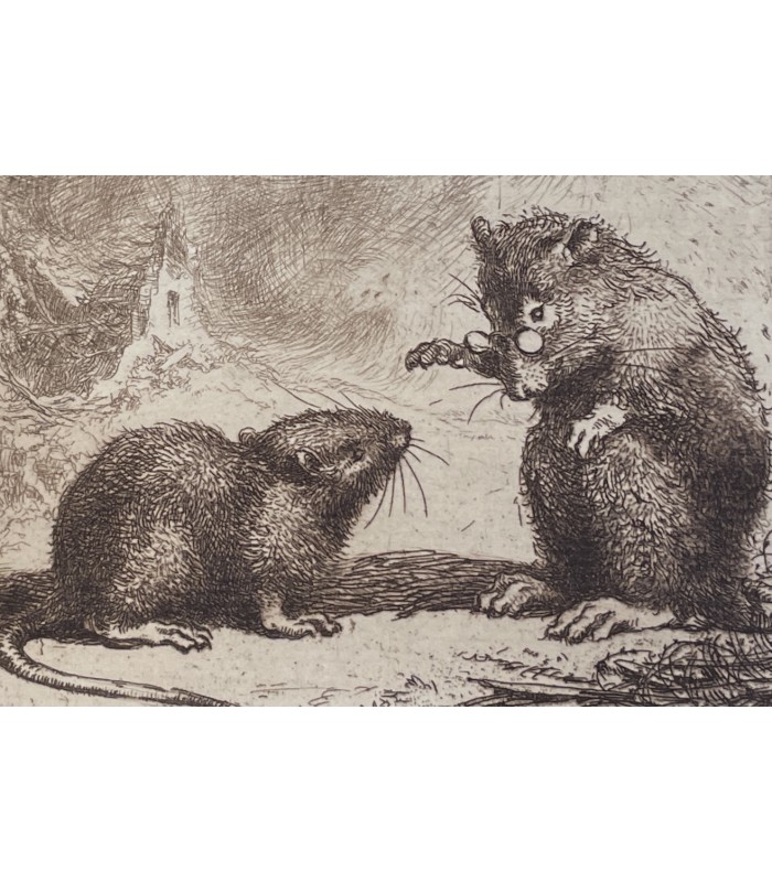 CHAINE (Pierre). Les Mémoires d'un rat. -  Les Commentaires de Ferdinand. Eaux-fortes de Polat. Reliure de Canape.