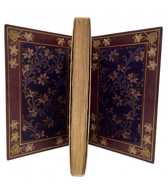 ABOUT (Edmond). Le Roi des montagnes. Dessins de Charles Delort gravés par Mongin. Reliure de Charles Lanoé.