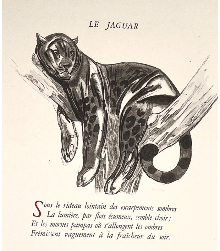 [JOUVE (Paul)] MAUCLAIR (Camille). Paul Jouve. Etude. Portrait par Laure Albin Guillot. Edition originale.