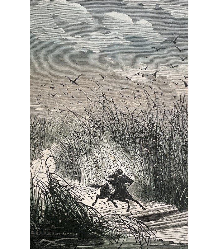 VERNE (Jules). Michel Strogoff. Moscou - Irkoutsk. Suivi de un drame au Mexique. Dessins de J. Férat, gravés par Ch. Barbant.