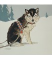 ROUQUETTE (Louis-Frédéric). Le Grand Silence blanc (Roman vécu d'Alaska). Illustré par Clarence Gagnon.