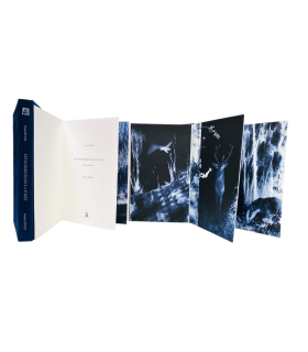 PIGANI (Paola). Les Dormeurs de la forêt. Edition originale. Photographies de Sophie Zénon. Couverture par Bernard Alligand.