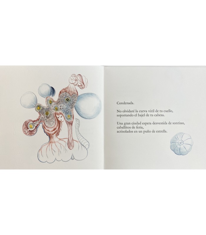 GODOY-ARCAYA (Ximena). Contra-Dia. Illustrations de Veronika Holcová. Edition originale.