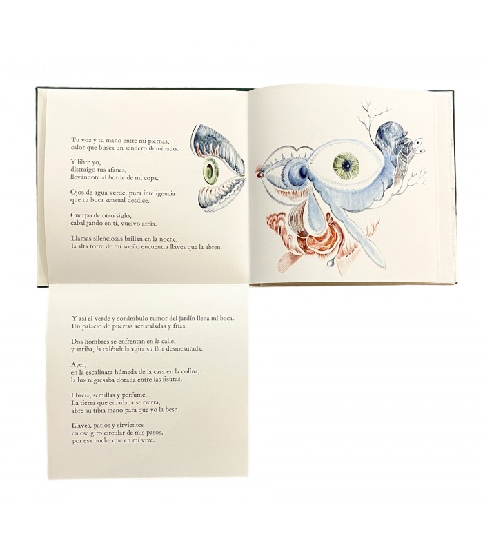 GODOY-ARCAYA (Ximena). Contra-Dia. Illustrations de Veronika Holcová. Edition originale.