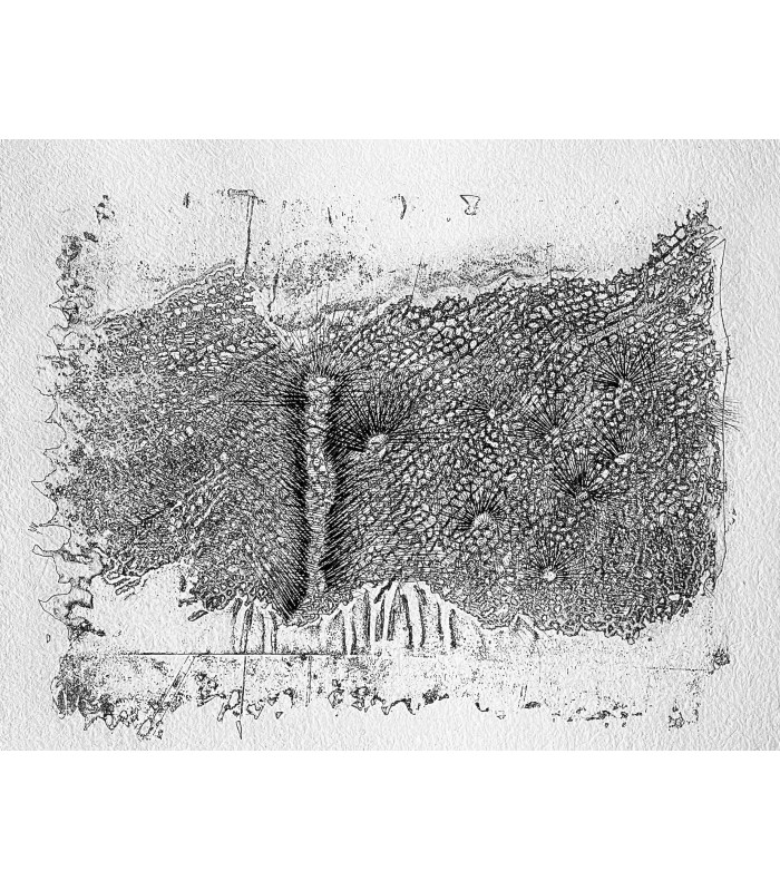 SOLIER (René de). Contre terre. Eaux-fortes originales de Germaine Richier.