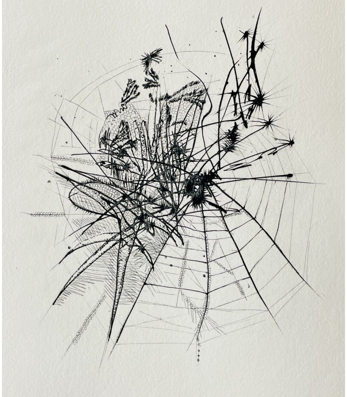 SOLIER (René de). Contre terre. Eaux-fortes originales de Germaine Richier.