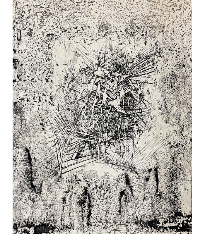 SOLIER (René de). Contre terre. Eaux-fortes originales de Germaine Richier.