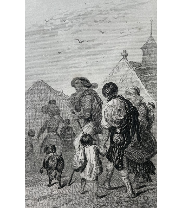 [CARTONNAGE ROMANTIQUE] SCHOOPPE (Amélie). Les Emigrants au Brésil.