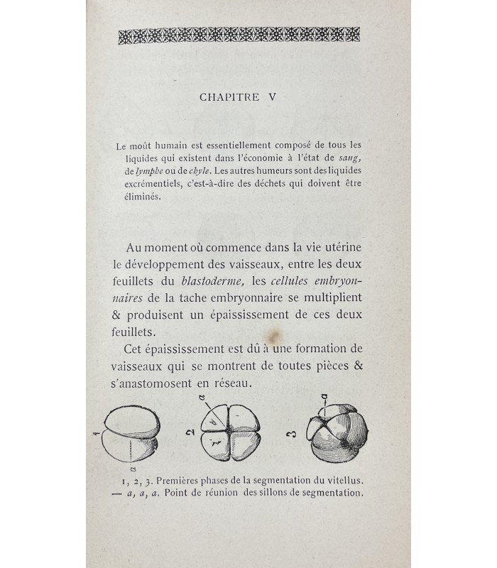 BACKER (Docteur de). La Fermentation humaine.