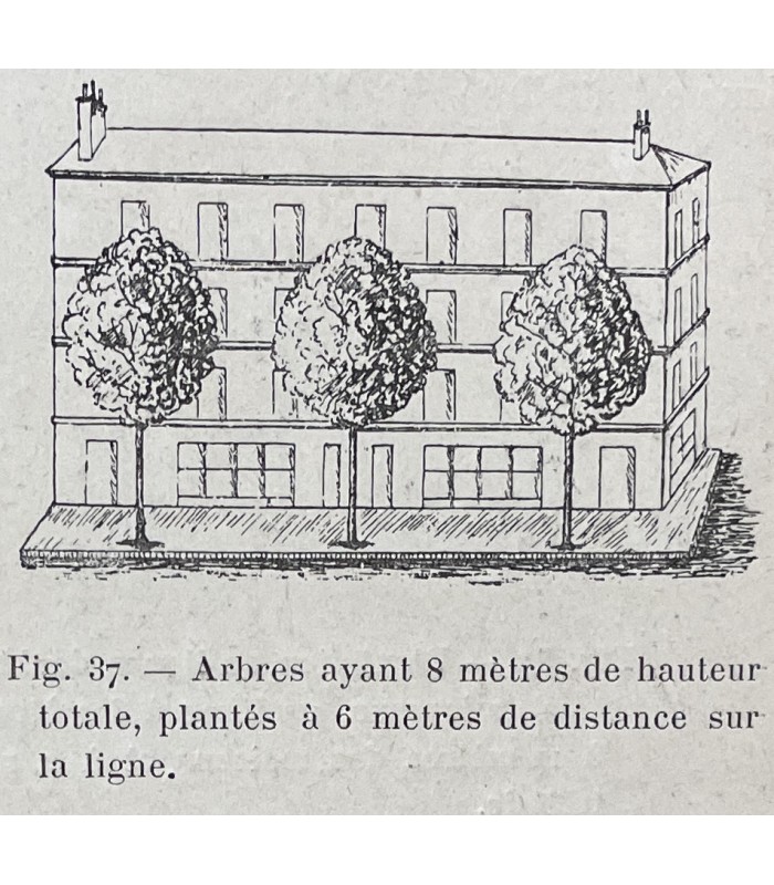 [ARBRES DE PARIS] CHARGUERAUD (Adolphe). Les Arbres de la ville de Paris.