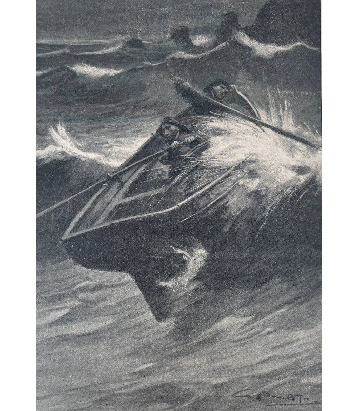 [CARTONNAGE POLYCHROME] MOTTA (Luigi). L'Eau tournoyante. Illustrations de G. Amato.