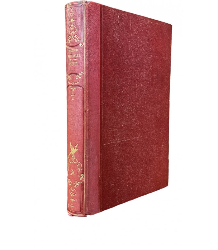 KEEPSAKE D'HISTOIRE NATURELLE. Description des oiseaux,... Reliure de l'époque. Ouvrage illustré par 150 dessins de Victor Adam.