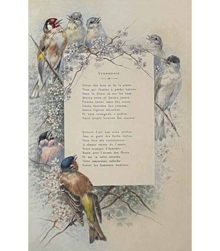 THEURIET (André). Nos oiseaux. Edition originale illustrée par Giacomelli. Reliure de Marius Michel. Exemplaire sur Japon.