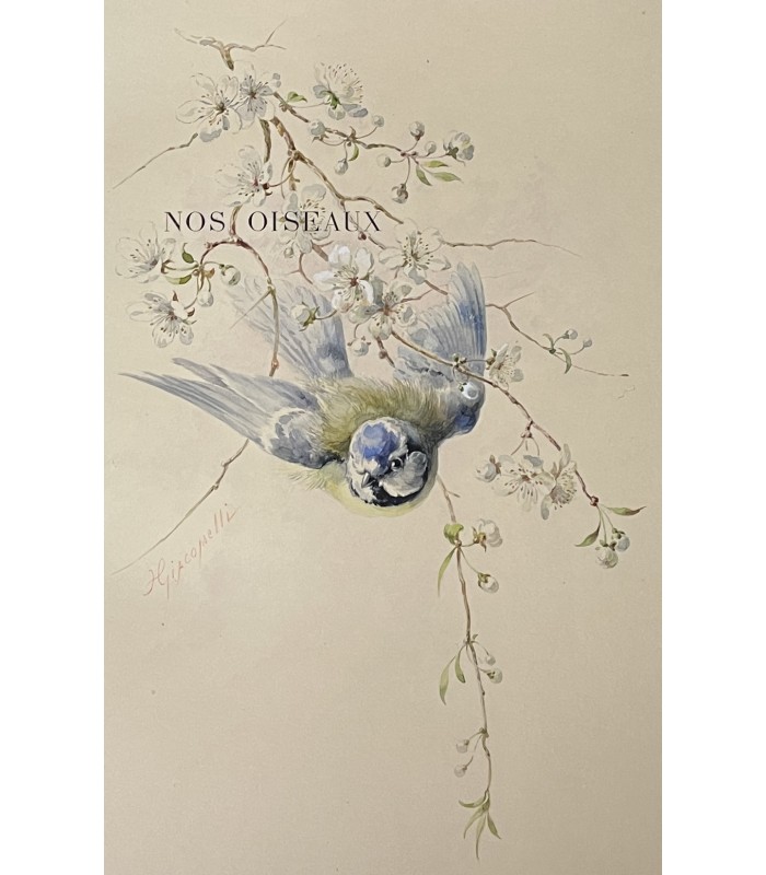 THEURIET (André). Nos oiseaux. Edition originale illustrée par Giacomelli. Reliure de Marius Michel. Exemplaire sur Japon.