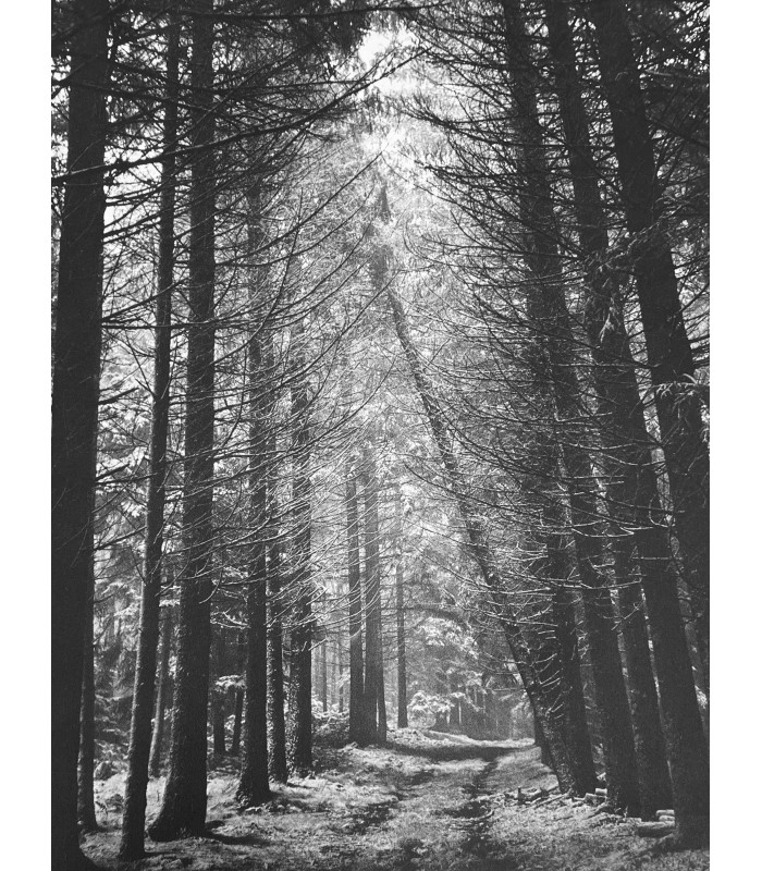 COLETTE. Paradis terrestre. Photographies d'Izis Bidermanas.