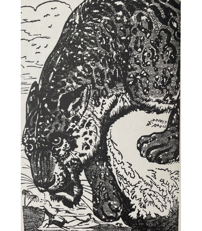 GERBERT (René). Un seigneur de la forêt. Edition originale. Bois gravés par Jusserat et Chevalier. Exemplaire sur vélin