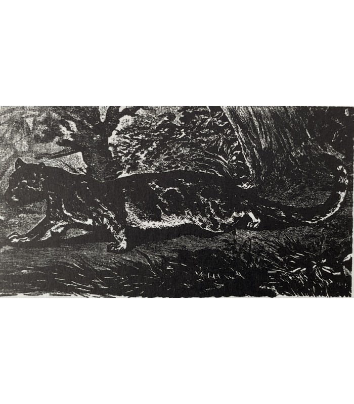 GERBERT (René). Un seigneur de la forêt. Edition originale. Bois gravés par Jusserat et Chevalier. Exemplaire sur vélin