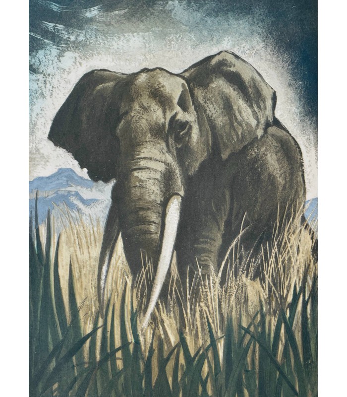 MARAN (René). Mbala l'éléphant. Illustrations d'André Collot.