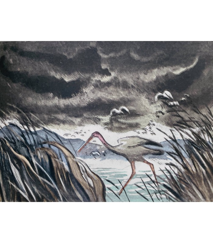 MARAN (René). Mbala l'éléphant. Illustrations d'André Collot.