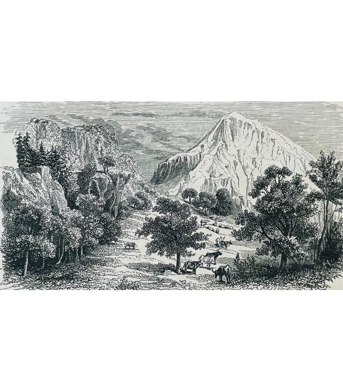 TOPFFER (Rodolphe ). Voyages en zigzag. Illustré d'après des dessins de l'auteur et orné de quinze grands dessins par M. Calame.