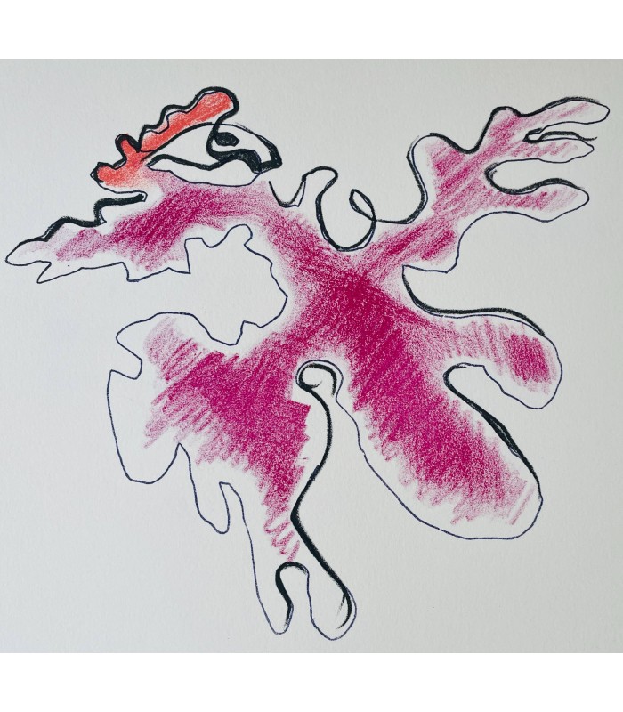AVELINE (Claude). Portrait de l'oiseau-qui-n'existe-pas, et Autres poèmes. Lithographies originales d'Ossip Zadkine.