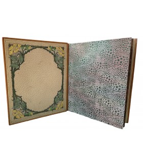 MAETERLINCK (Maurice). La Vie des abeilles. Illustrations en couleurs par Carlos Schwabe. Reliure de Charles Meunier.