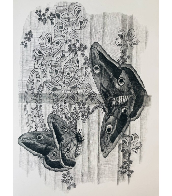 FABRE (Jean-Henri). Vie et moeurs des insectes. Gravures au burin de Tavy Notton.